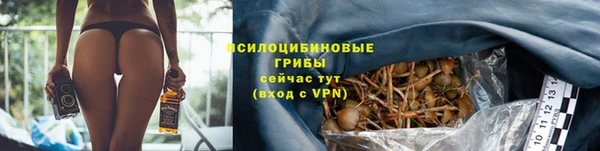 a pvp Богородск
