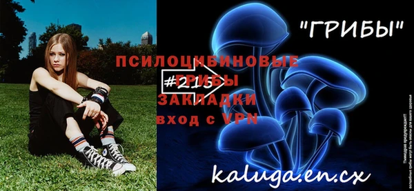 a pvp Богородск