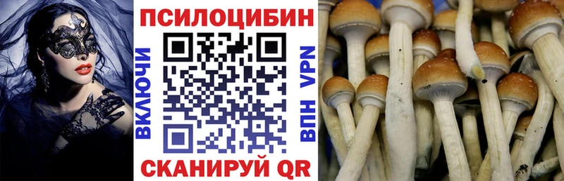 Галлюциногенные грибы прущие грибы  Высоцк 